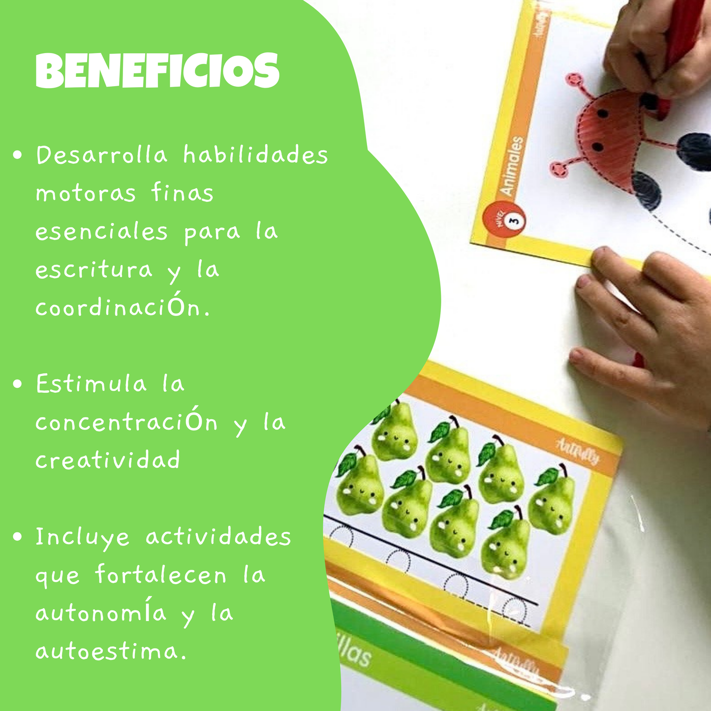 Caja de Actividades de Motricidad Fina